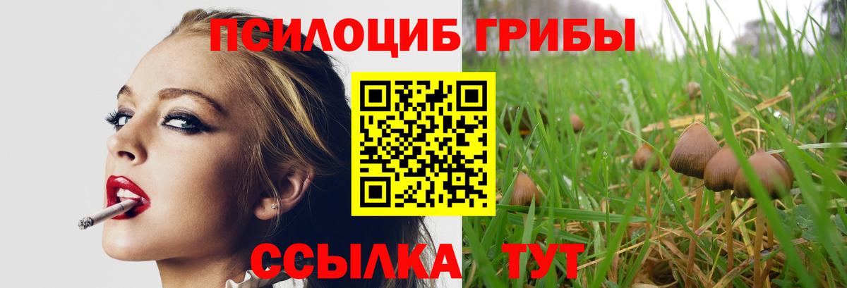 Галлюциногенные грибы GOLDEN TEACHER Сегежа